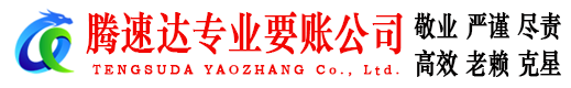 盐田讨账公司